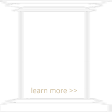 DAN-Intentional_pillar