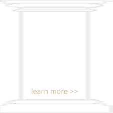 DAN-purpose_pillar